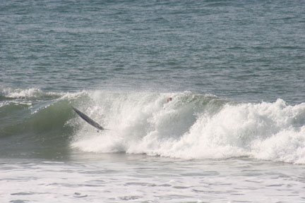 [surfer+3]