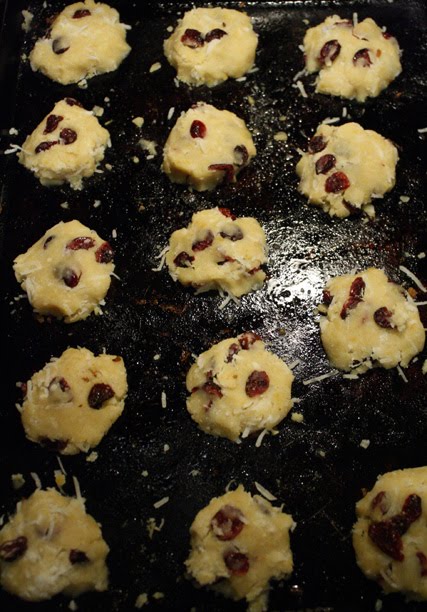 [cranberry+cookie+pan.jpg]