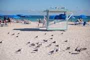 Med smeknamnet Solskensstaten är Florida en av de mest populära resmålen i . (dsc )