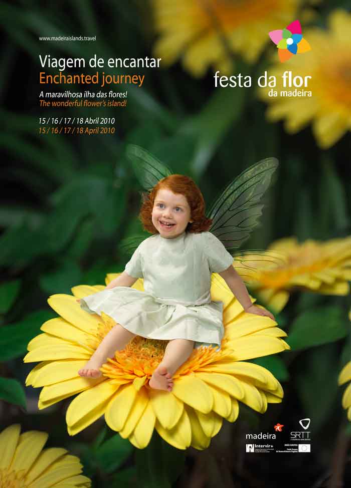 Festa Da Flor