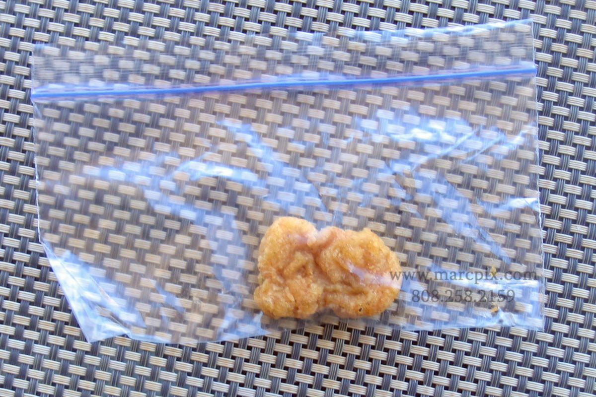 [nugget+3.jpg]
