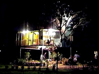 house on a mango tree images