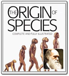 [1.jpg]
