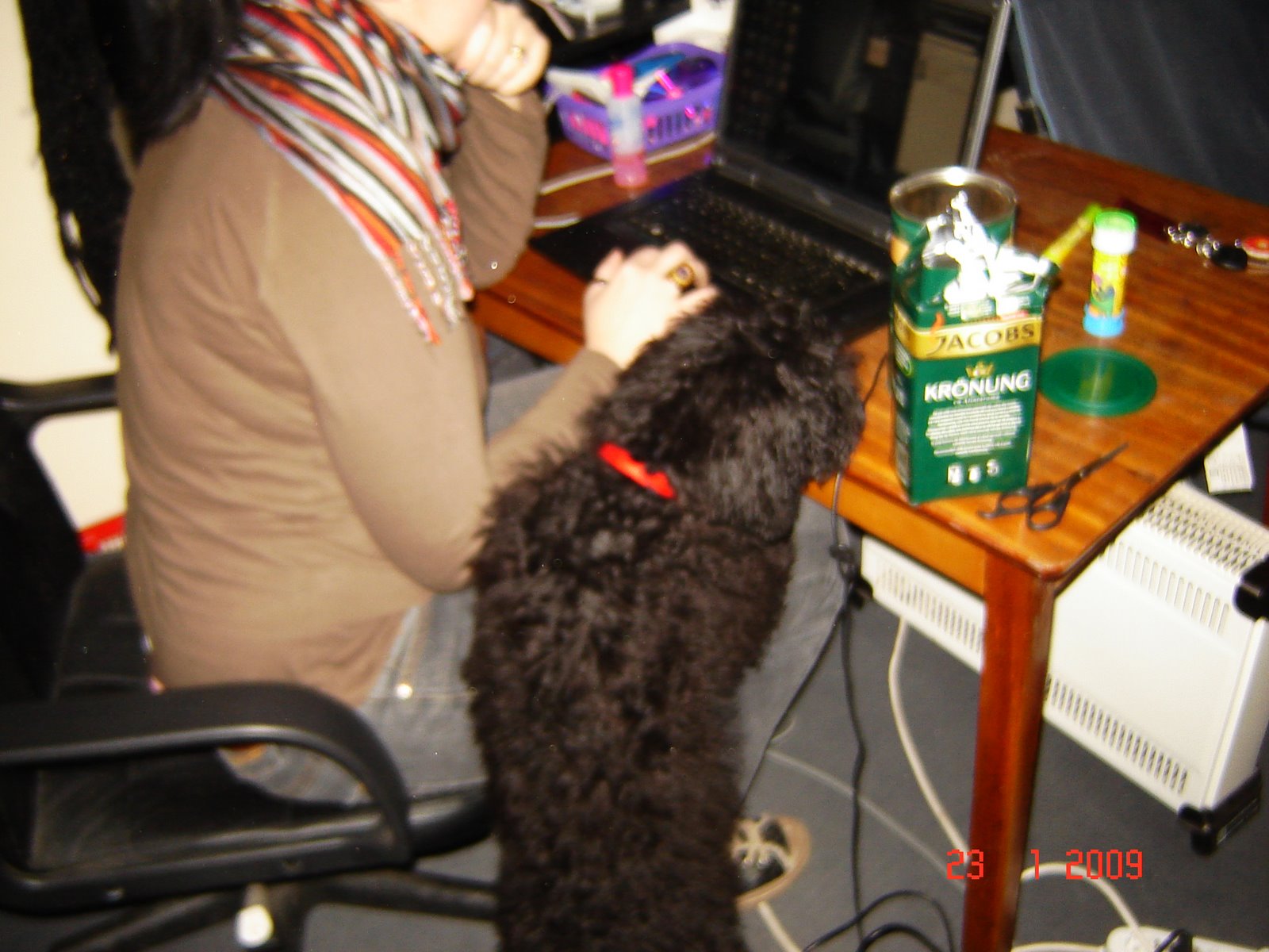 [DSC00670.JPG]