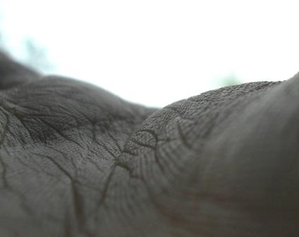 [BjoernHermann.handscape.2..JPG]