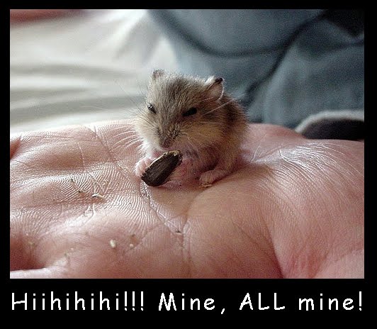 [funny-animals-6.jpg]