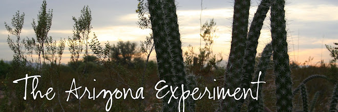 The Arizona Experiment