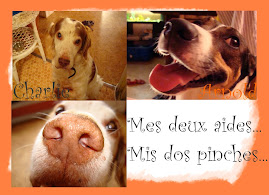 Mes mascotes... Mis mascotas