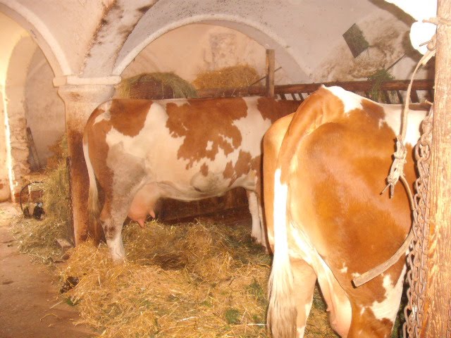 *Unikum*: September 2010