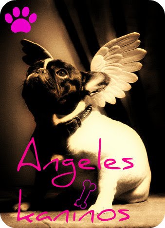 ANGELES KANINOS