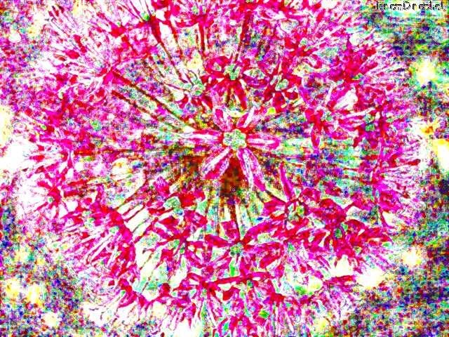 [Wild_Pink_Flower_Pattern.jpg]