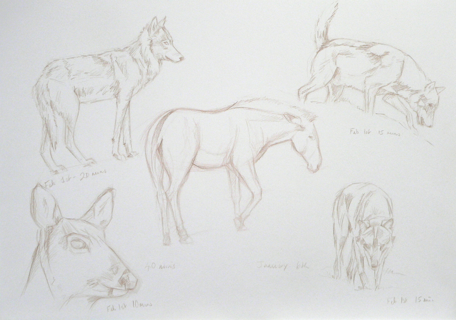 oil well that s pretty much as ...