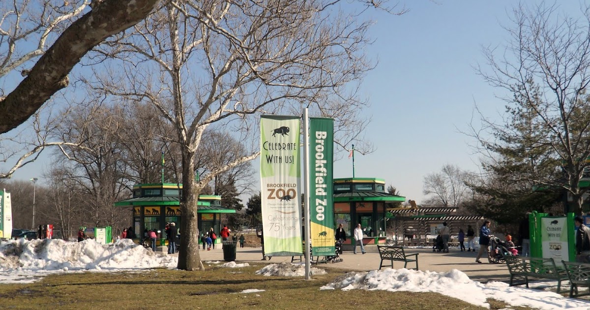 flowing waters A visit to Brookfield Zoo