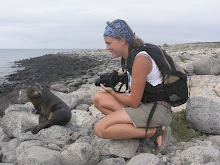 Galapagos