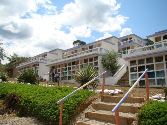 [DSC02096.JPG]