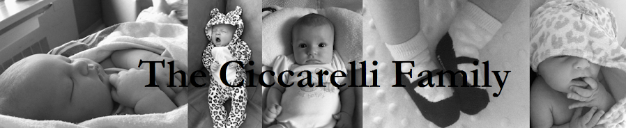 The Ciccarelli Family