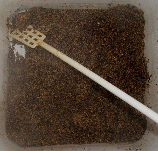[Dry+Mash.JPG]