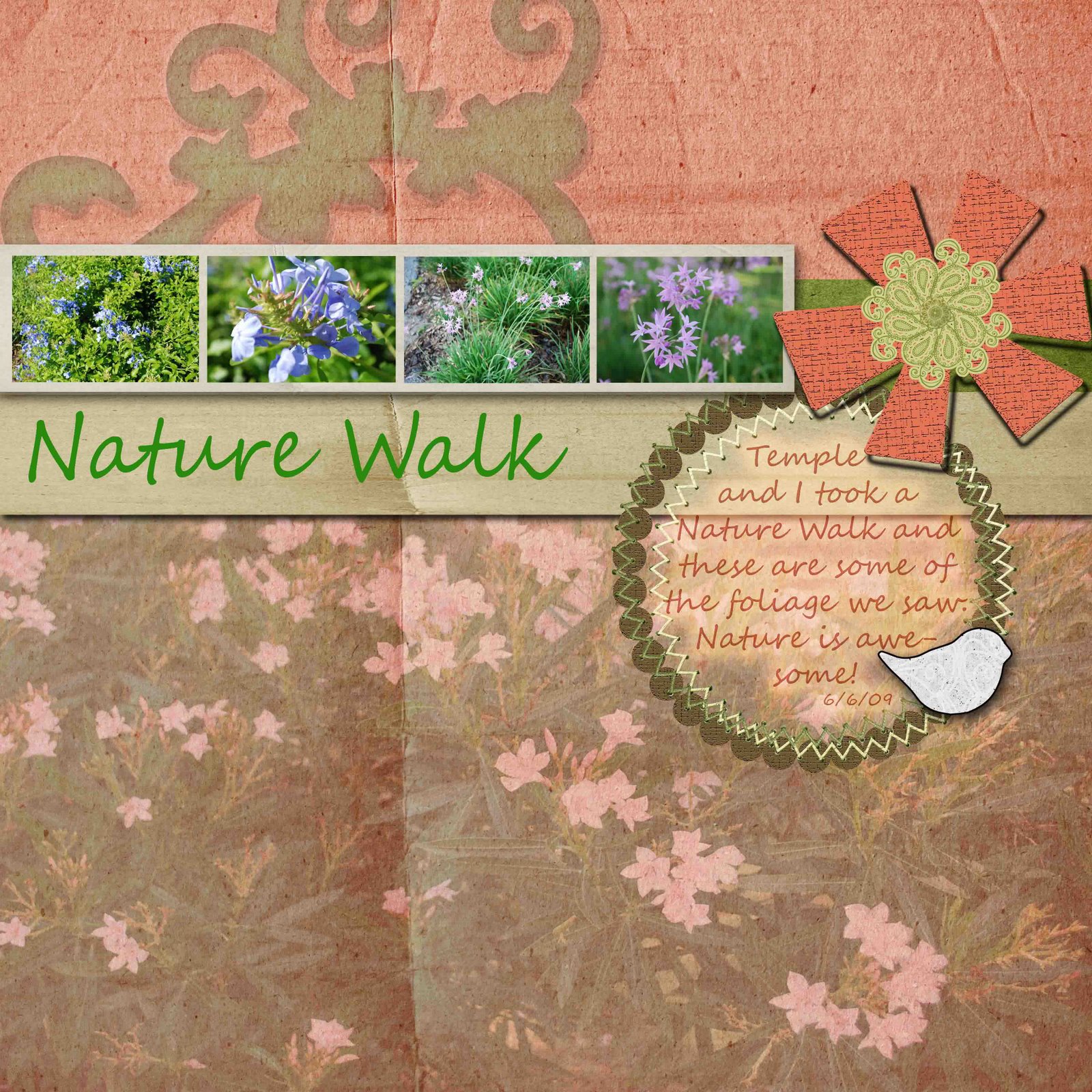 [Nature+Walk.jpg]