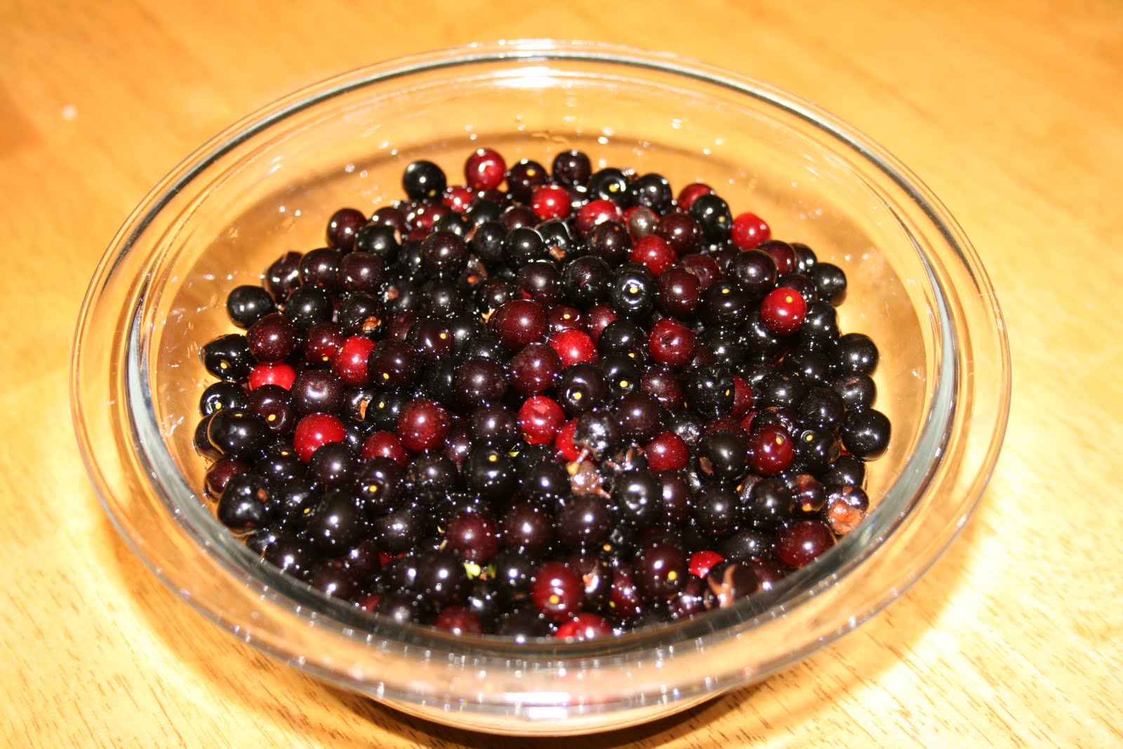 A Tiny Homestead Wild Black Cherry Jelly
