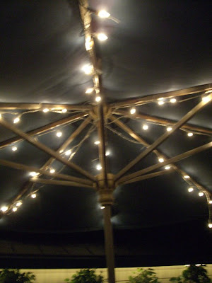 Night Lights V - Fun Lights!