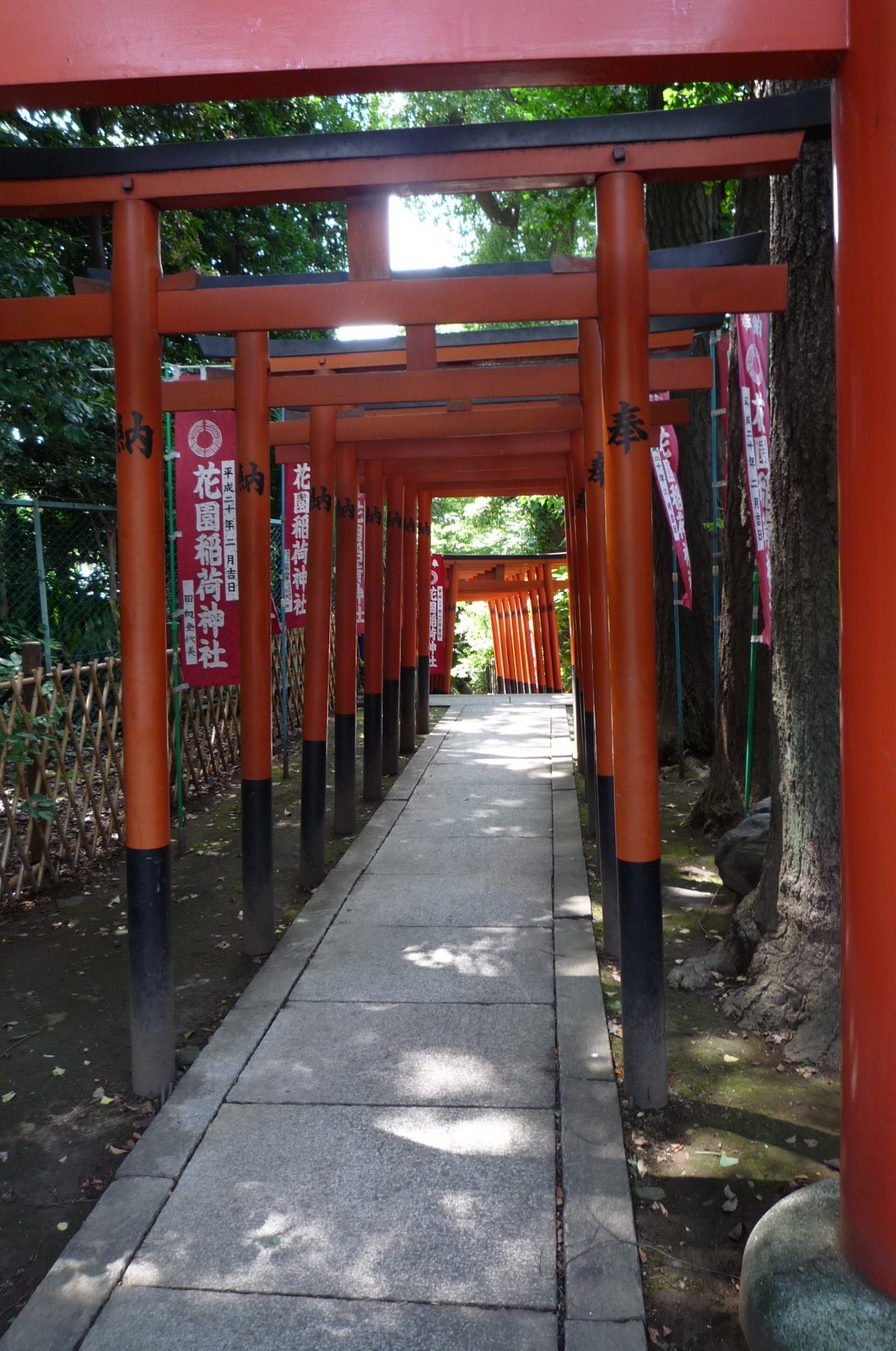 [P1010715.JPG]
