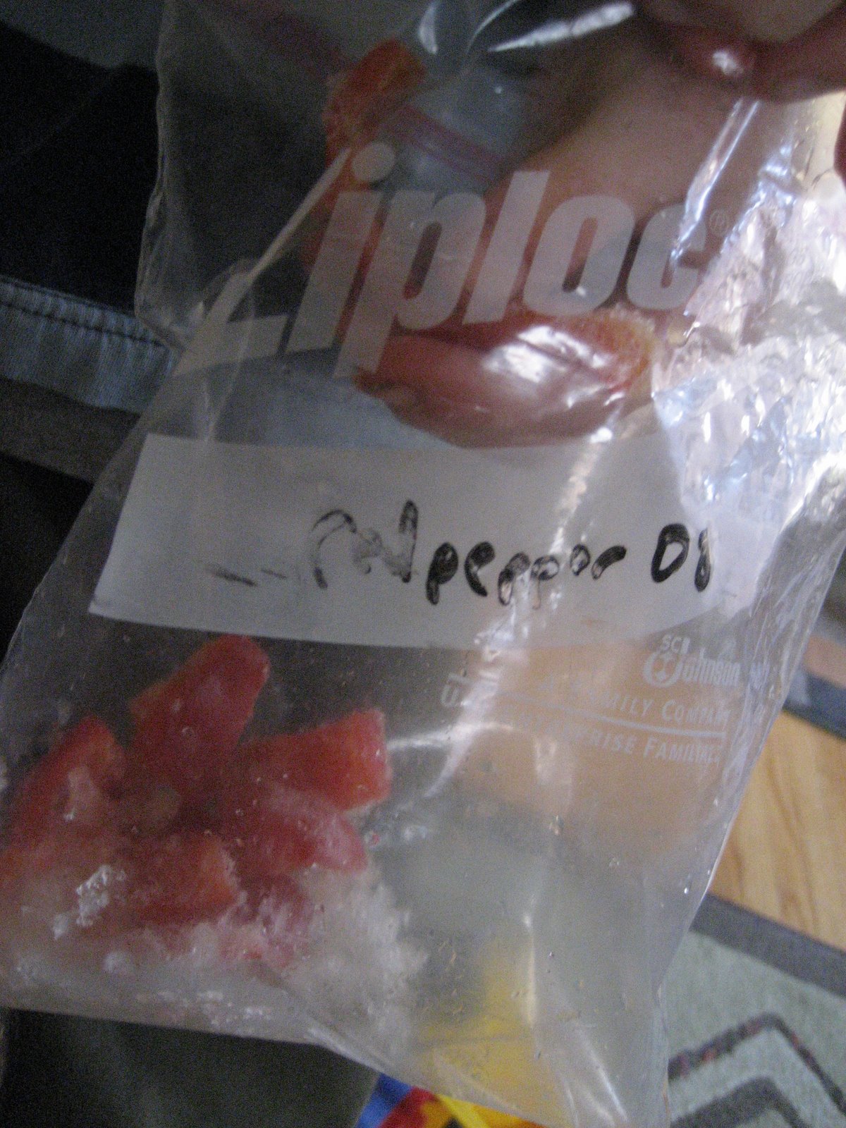 [flora's+march+09+317.jpg]