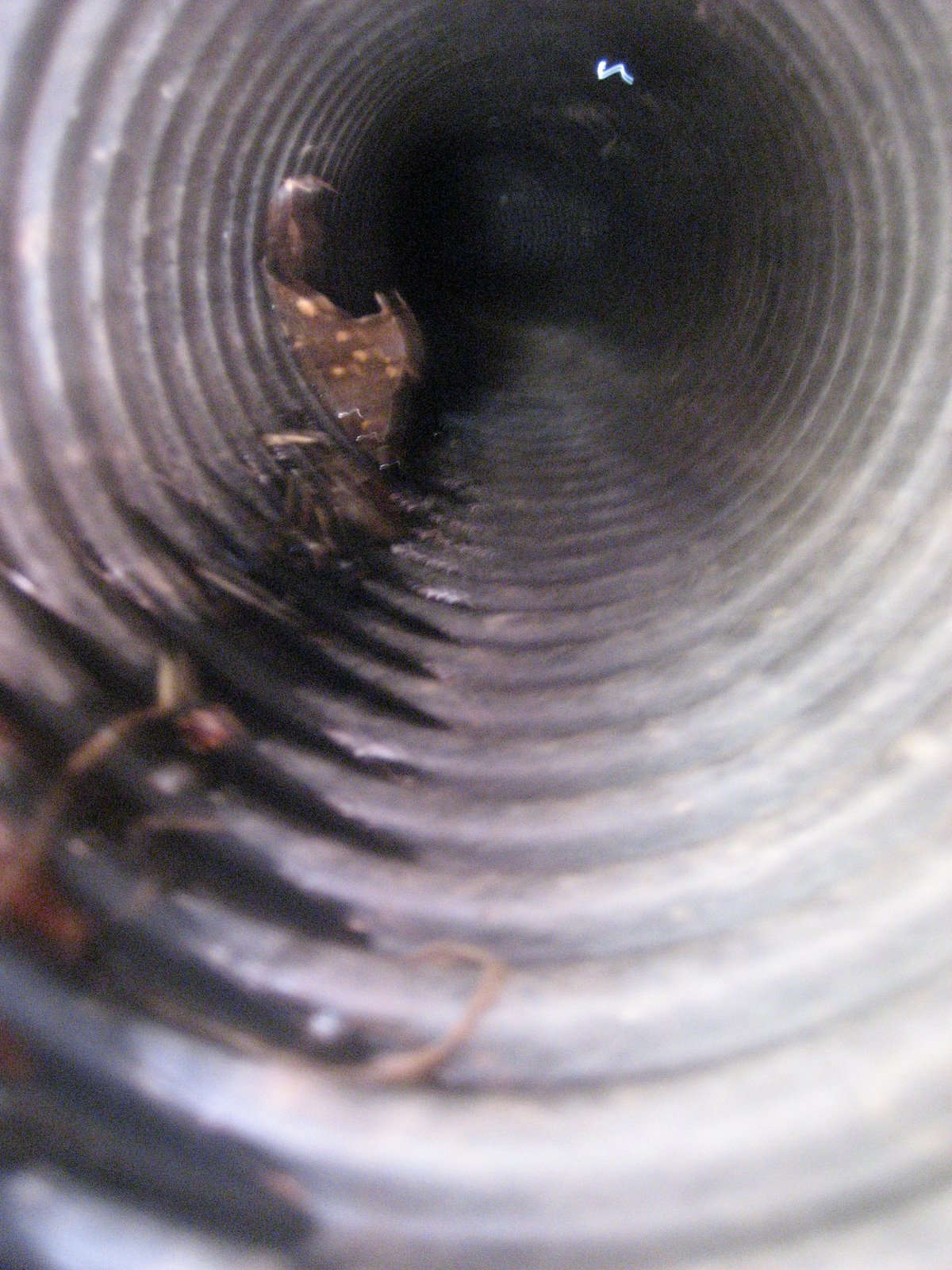 [calvin's+birthday+09+081.jpg]