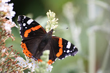 Gardening is a way of showing you believe in tomorrow.