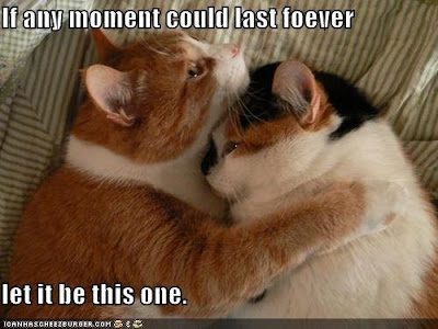 Frog On The Pumpkin Happy Anniversary