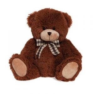 El cuaderno de Carmen: Mi juguete preferido.