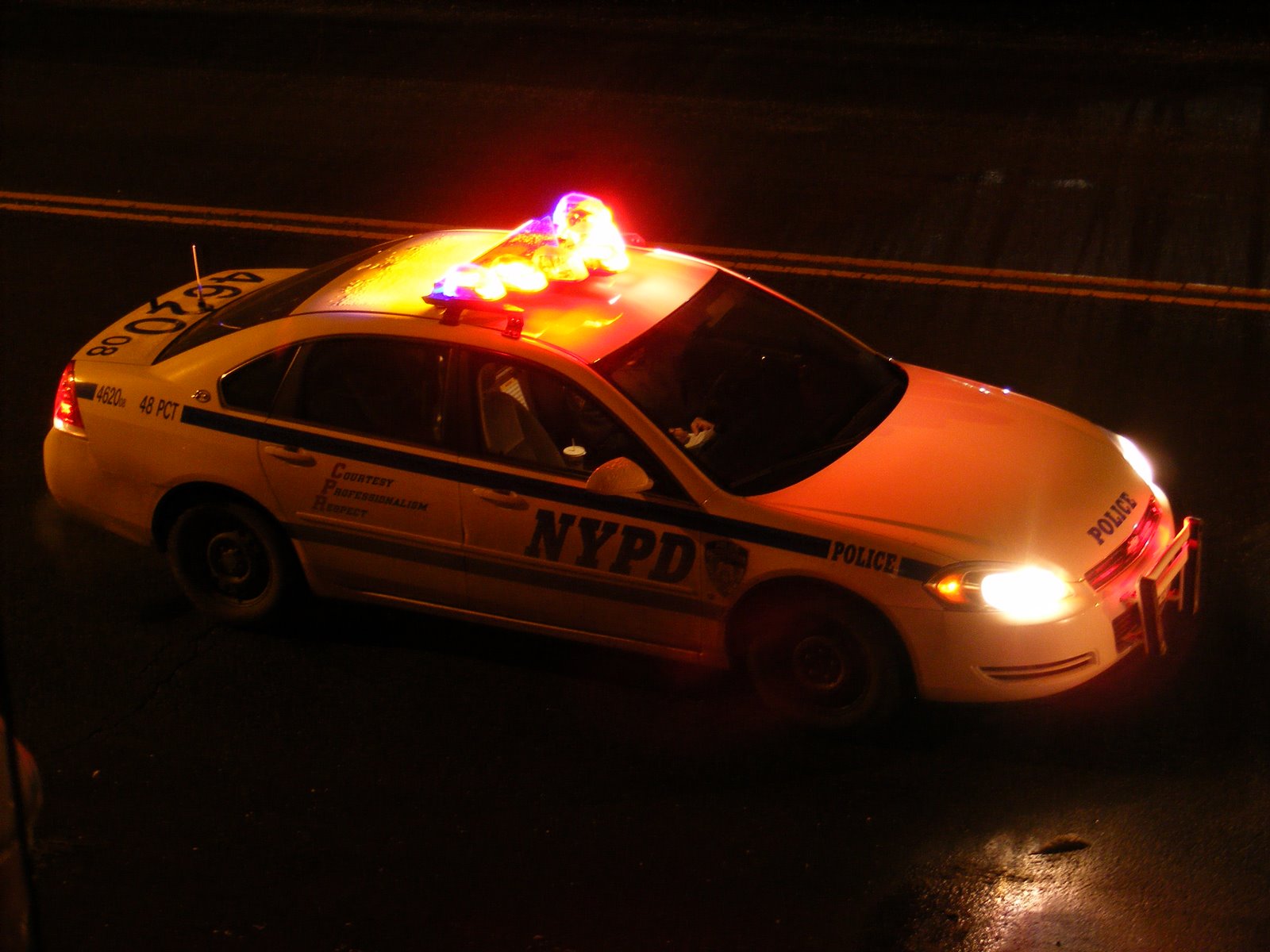 [DSCF0002.JPG]