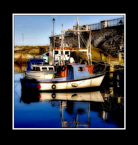 [531423914_cc5fe274da.jpg]