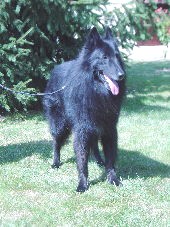 [ORLOF+PERIGORD.JPG]