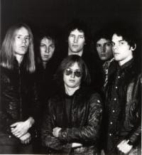 radio birdman: