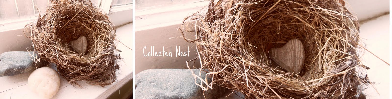 Collected Nest