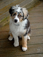 13 Weeks