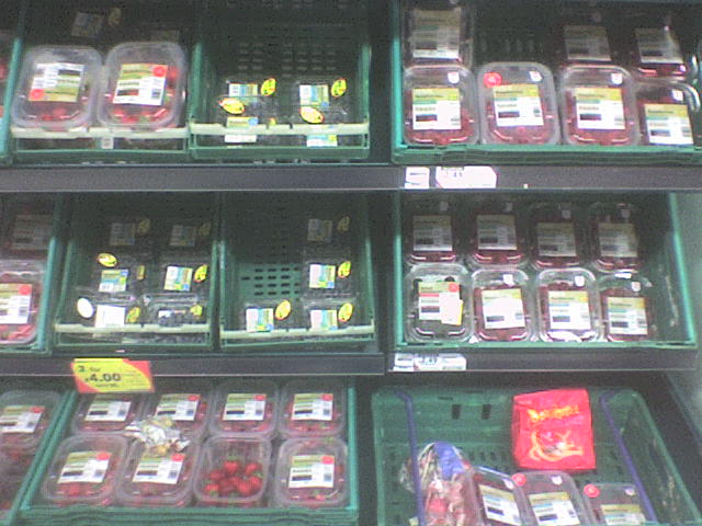 [DSC00756.JPG]