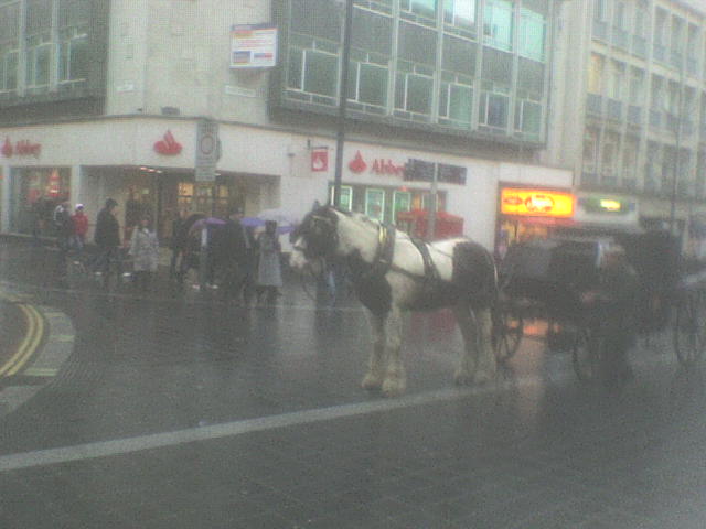 [DSC00330.JPG]