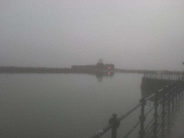 [DSC00309.JPG]