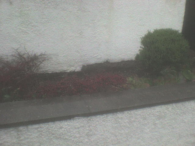 [DSC00300.JPG]
