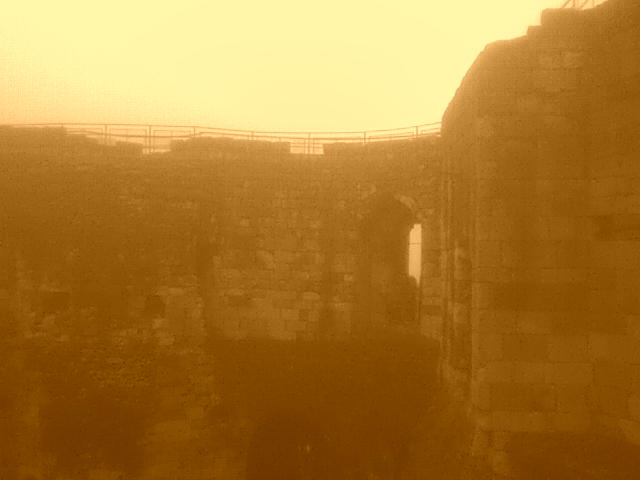 [DSC01551.JPG]