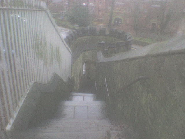 [DSC01508.JPG]