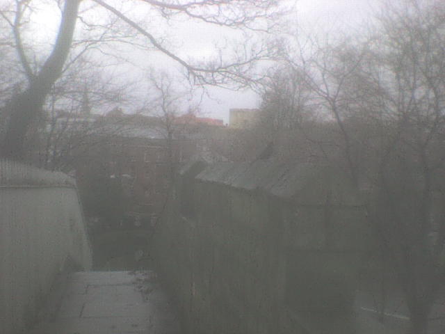 [DSC01507.JPG]