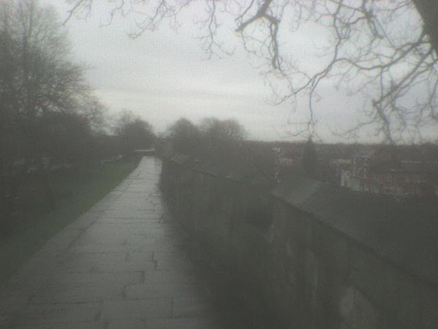 [DSC01503.JPG]
