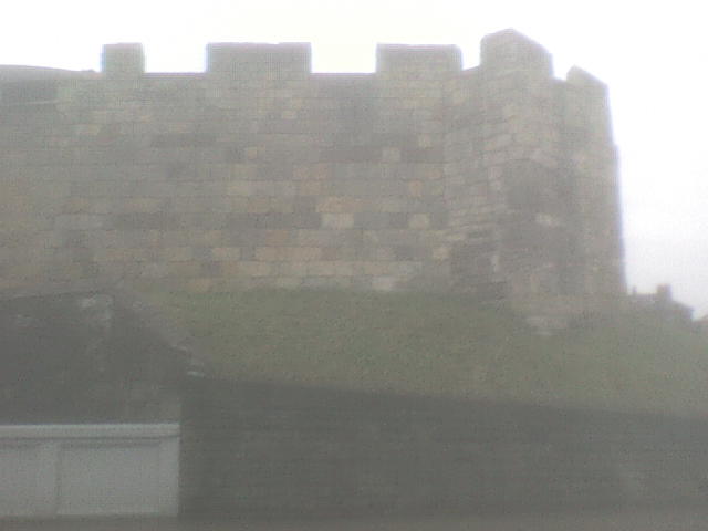 [DSC01490.JPG]