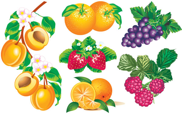 [VR-070409-Fruit.jpg]