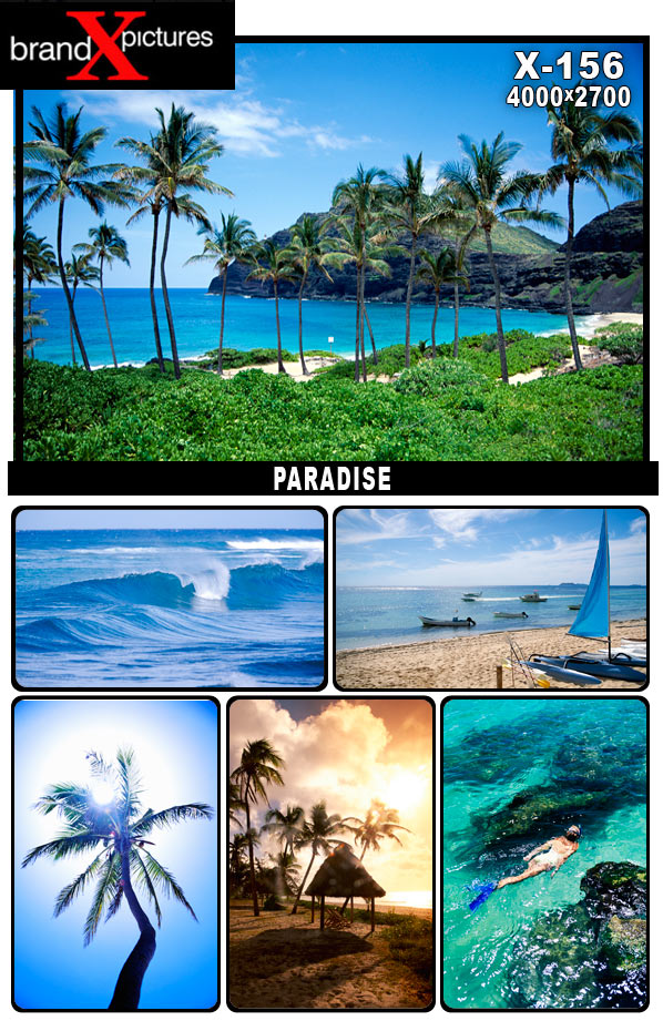 [Brand-X-156-Paradise.jpg]