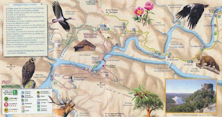 Turismo ornitológico