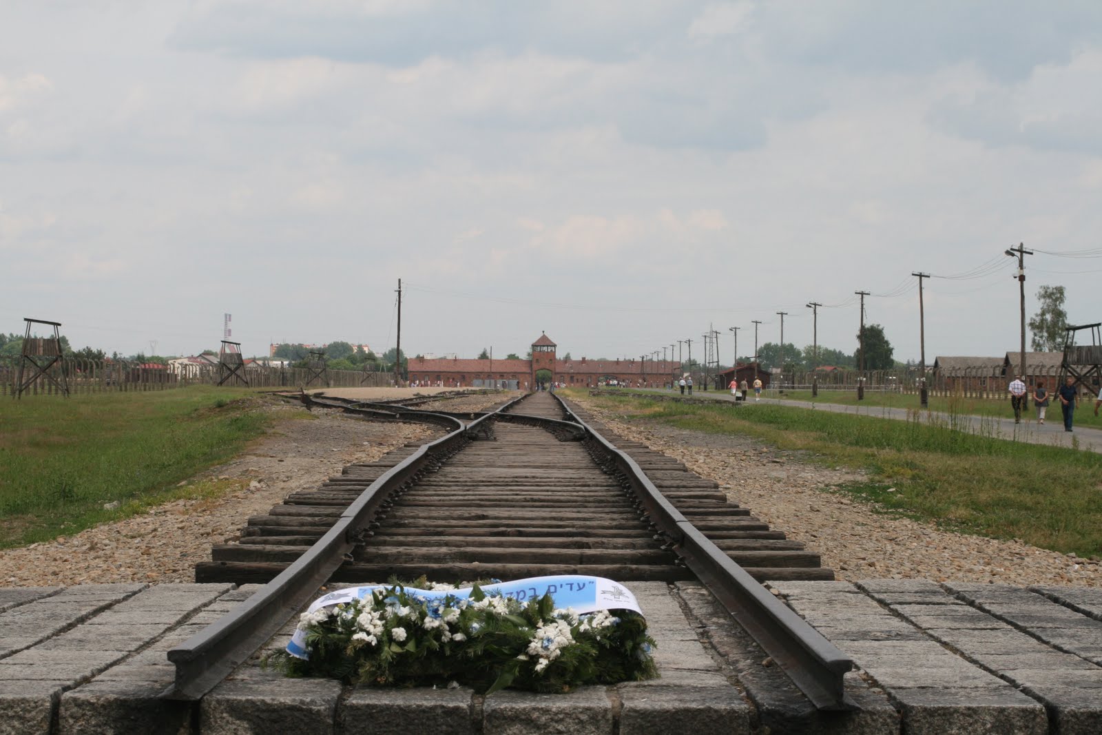 [IMG_0833.jpg]