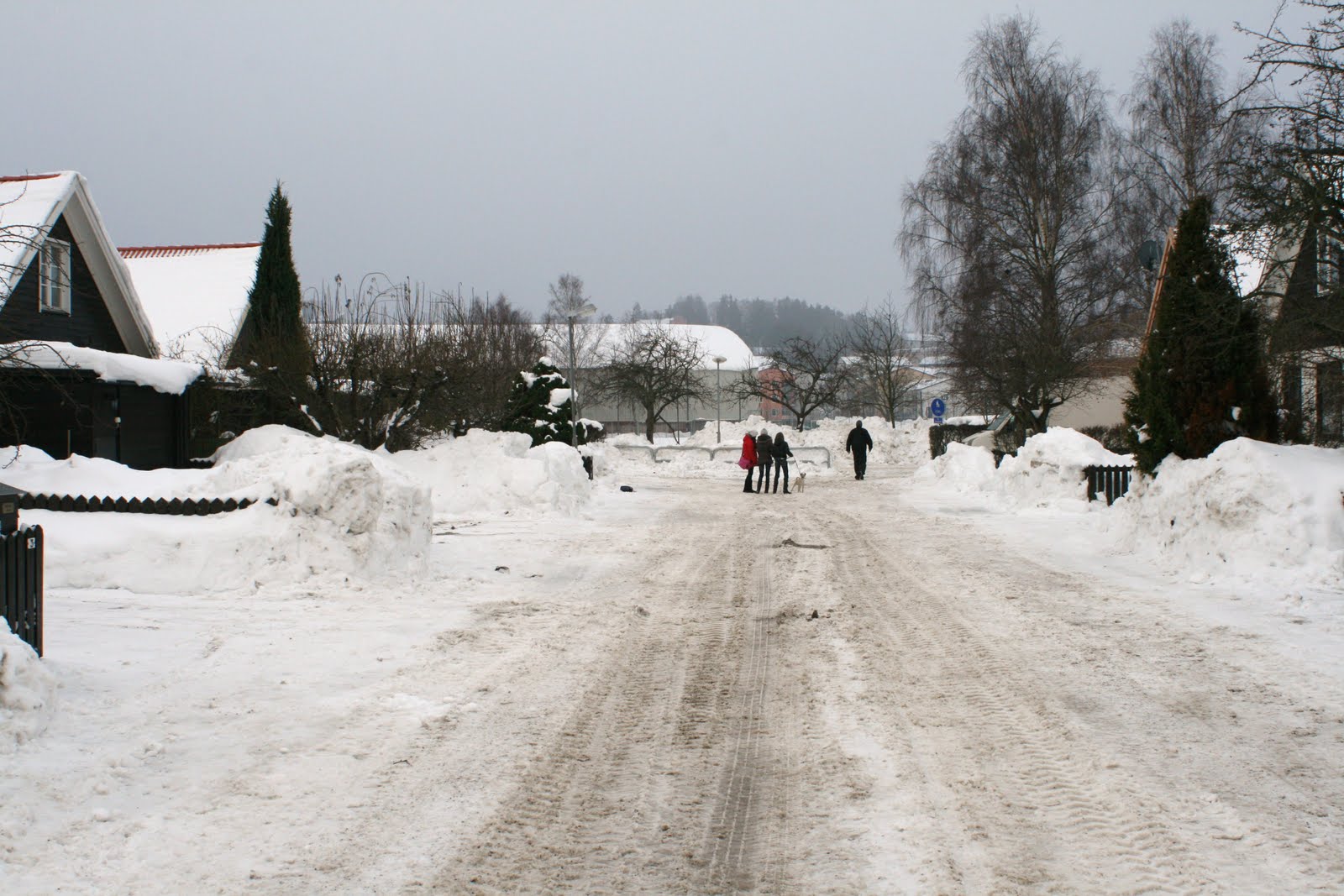 [IMG_1353.jpg]
